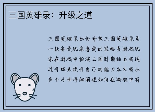 三国英雄录：升级之道